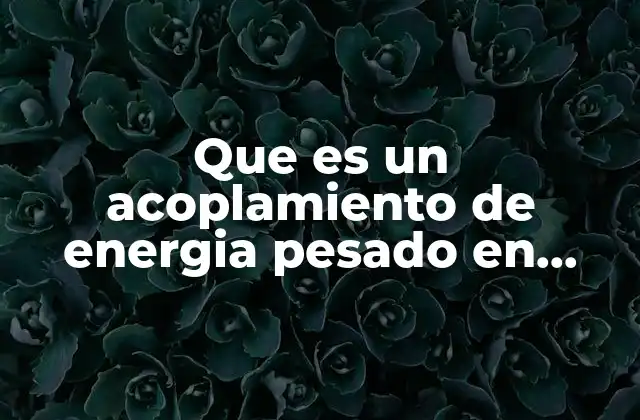 Que es un Acoplamiento de Energia Pesado en Destiny 2 La importancia de los acoplamientos en el equilibrio de las armas