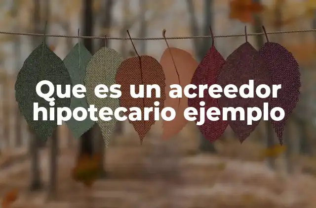 Que es un Acreedor Hipotecario Ejemplo