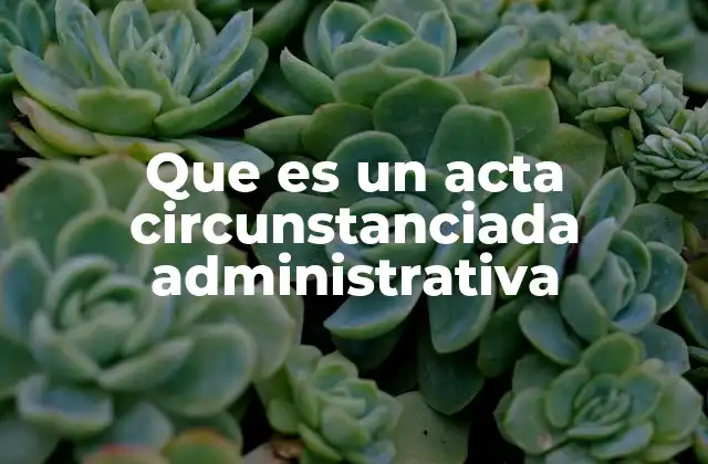 Que es un Acta Circunstanciada Administrativa 2 La importancia de los registros oficiales en el sector público