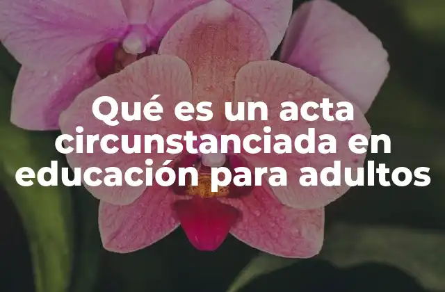 Qué es un Acta Circunstanciada en Educación para Adultos