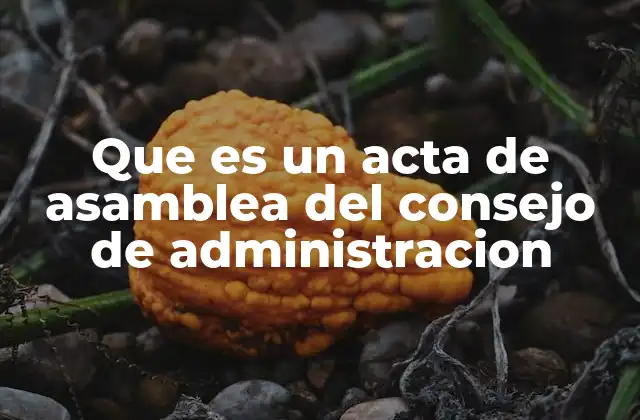 Que es un Acta de Asamblea Del Consejo de Administracion