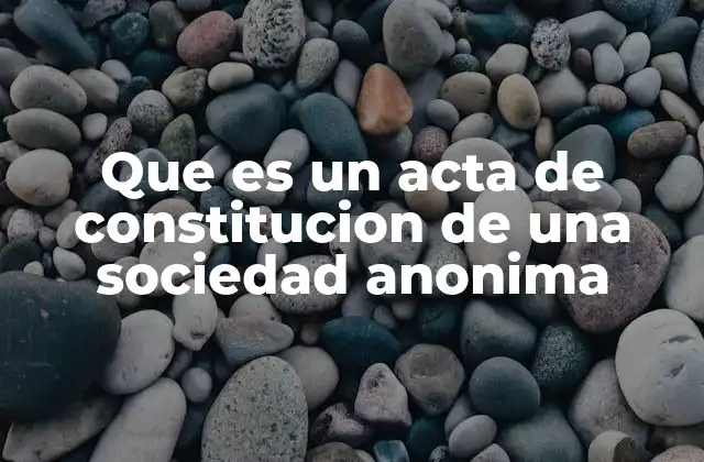 Que es un Acta de Constitucion de una Sociedad Anonima