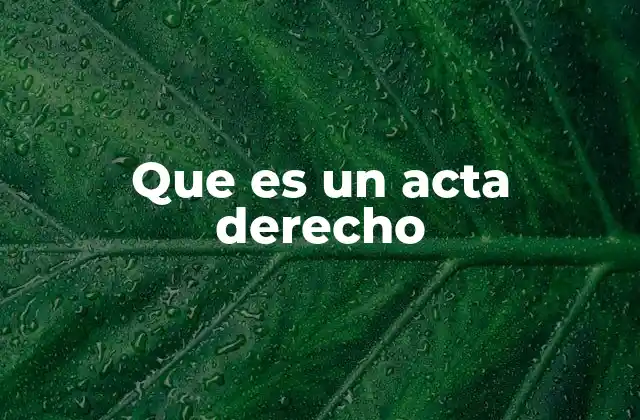 Que es un Acta Derecho