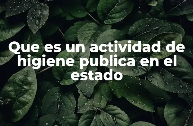 Que es un Actividad de Higiene Publica en el Estado