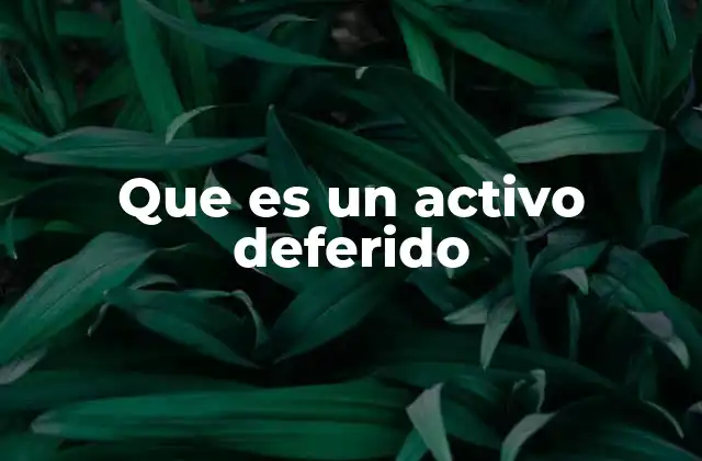 Que es un Activo Deferido