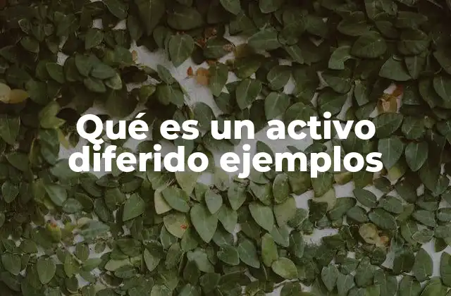Qué es un Activo Diferido Ejemplos