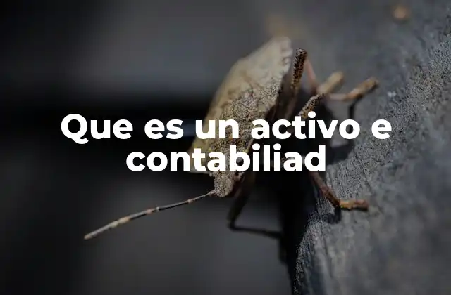 Que es un Activo e Contabiliad