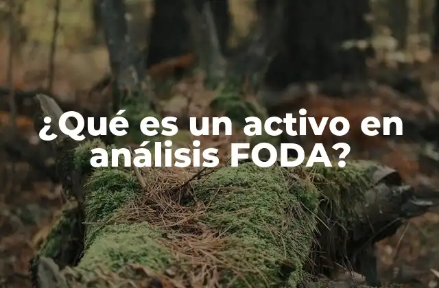 ¿qué es un Activo en Análisis Foda?