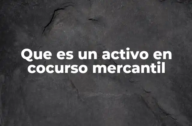 Que es un Activo en Cocurso Mercantil