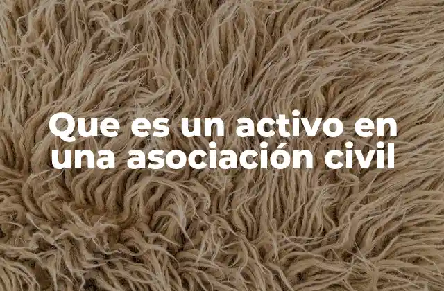 Que es un Activo en una Asociación Civil