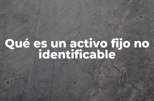 Qué es un Activo Fijo No Identificable