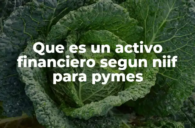 Que es un Activo Financiero Segun Niif para Pymes