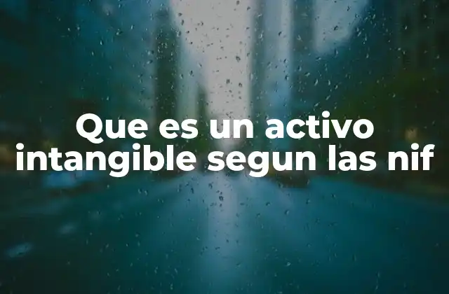 Que es un Activo Intangible Segun las Nif