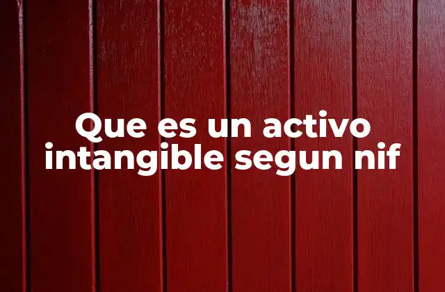 Que es un Activo Intangible Segun Nif
