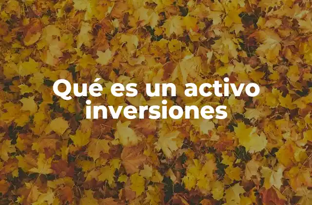 Qué es un Activo Inversiones