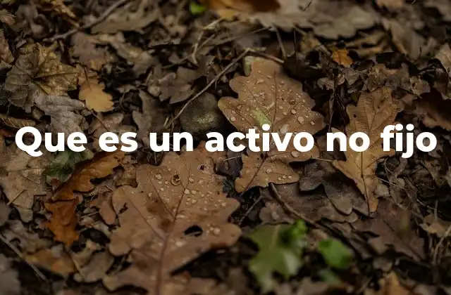 Que es un Activo No Fijo