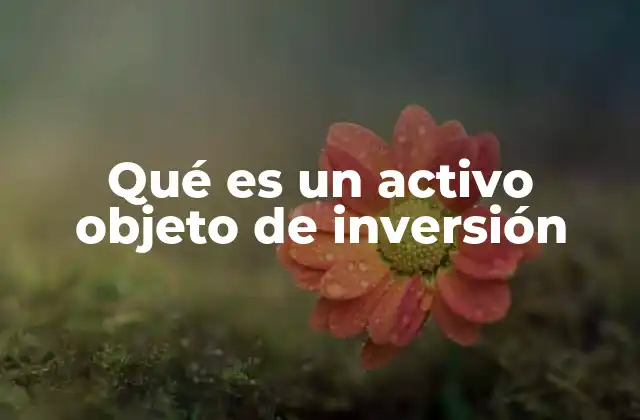 Qué es un Activo Objeto de Inversión