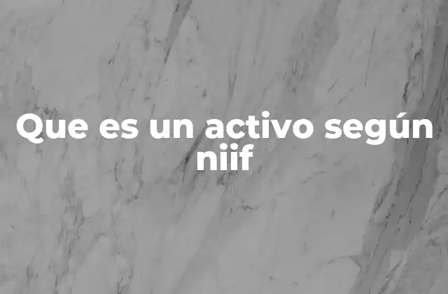 Que es un Activo según Niif