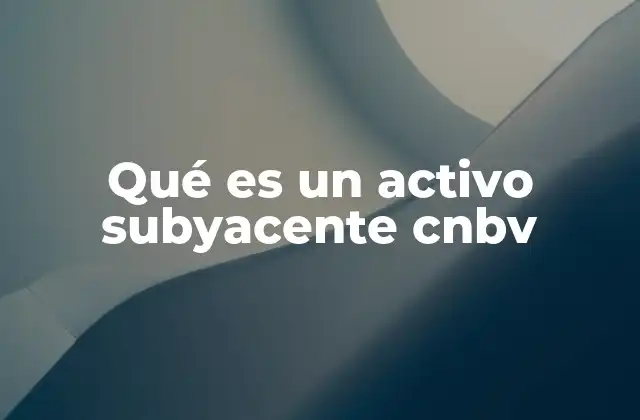 Qué es un Activo Subyacente Cnbv