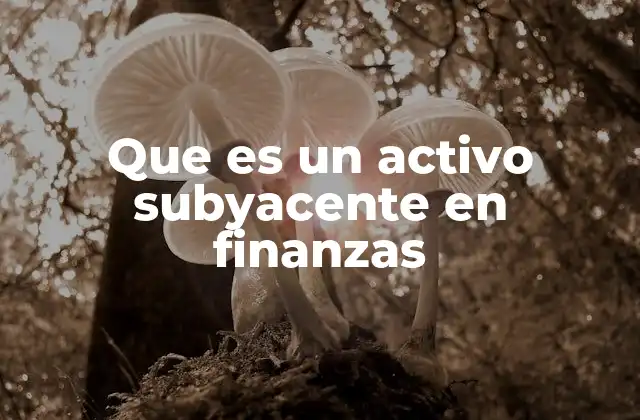 Que es un Activo Subyacente en Finanzas