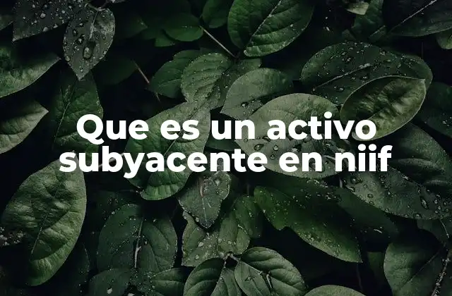 Que es un Activo Subyacente en Niif