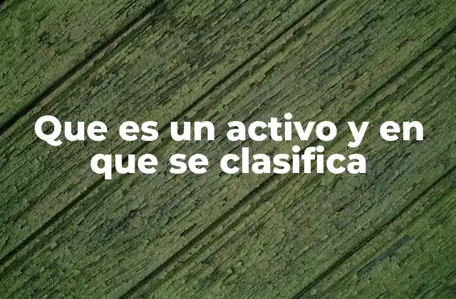 Que es un Activo y en que Se Clasifica
