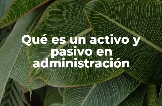 Qué es un Activo y Pasivo en Administración