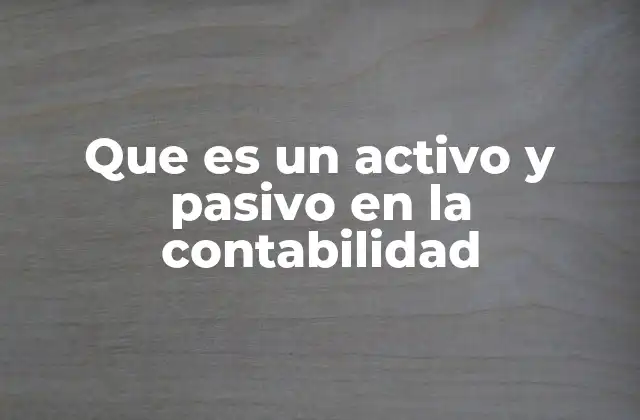 Que es un Activo y Pasivo en la Contabilidad
