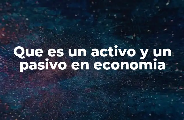 Que es un Activo y un Pasivo en Economia