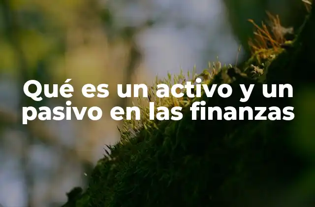 Qué es un Activo y un Pasivo en las Finanzas