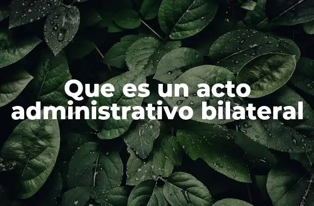 Que es un Acto Administrativo Bilateral 2 La importancia de la participación en actos administrativos