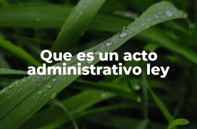 Que es un Acto Administrativo Ley