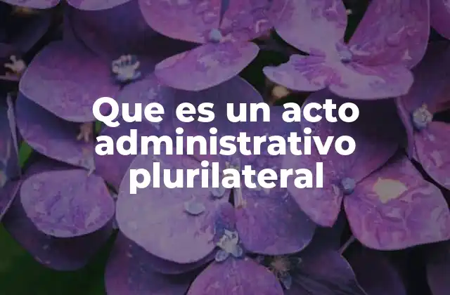 Que es un Acto Administrativo Plurilateral