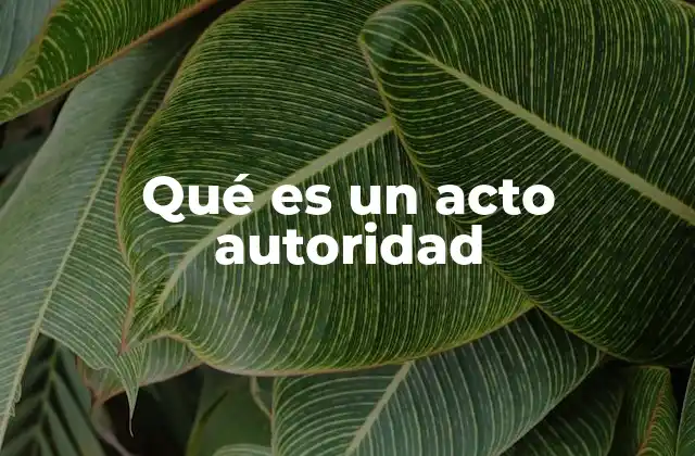 Qué es un Acto Autoridad