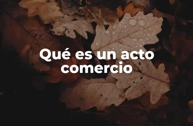 Qué es un Acto Comercio
