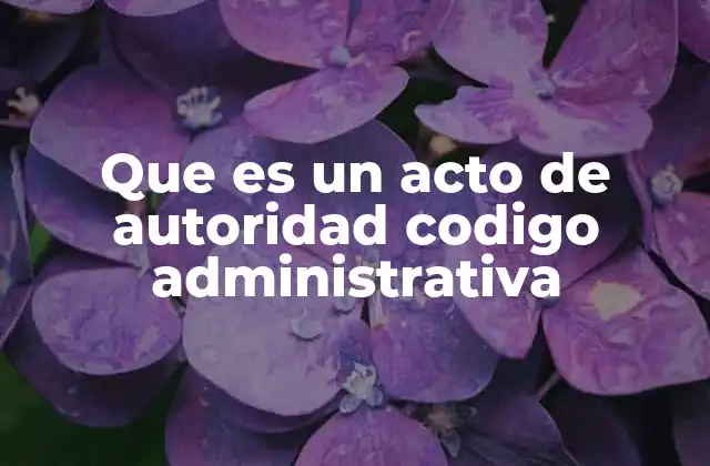 Que es un Acto de Autoridad Codigo Administrativa