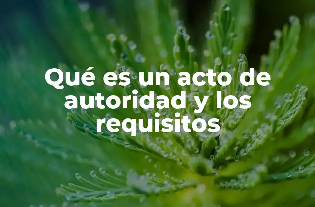Qué es un Acto de Autoridad y los Requisitos
