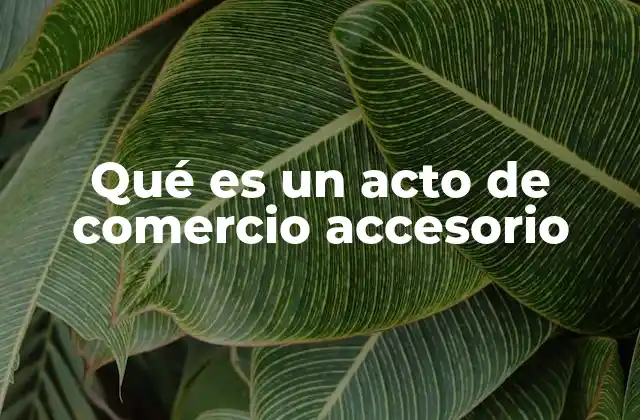 Qué es un Acto de Comercio Accesorio