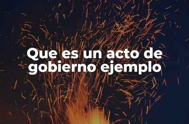 Que es un Acto de Gobierno Ejemplo