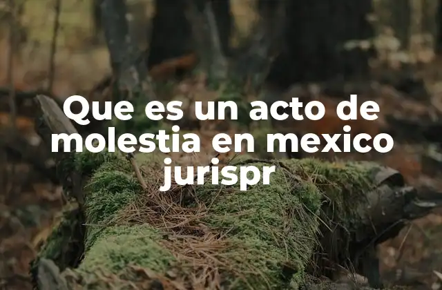 Que es un Acto de Molestia en Mexico Jurispr