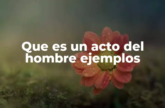 Que es un Acto Del Hombre Ejemplos