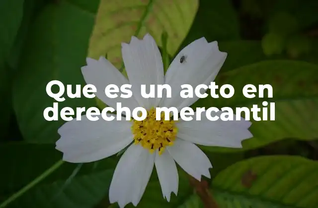 Que es un Acto en Derecho Mercantil