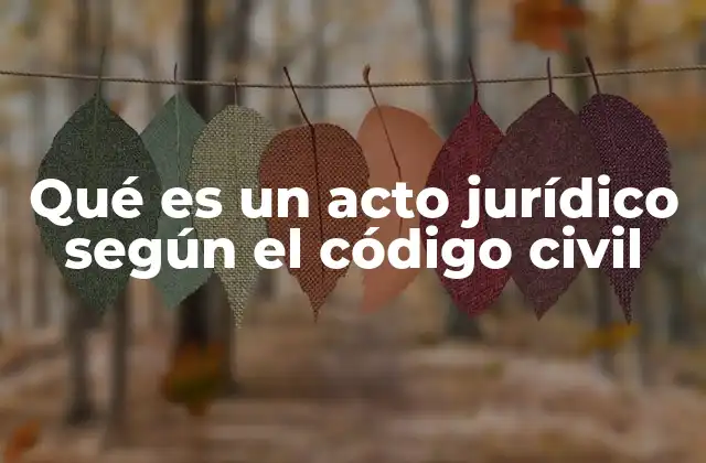 Qué es un Acto Jurídico según el Código Civil