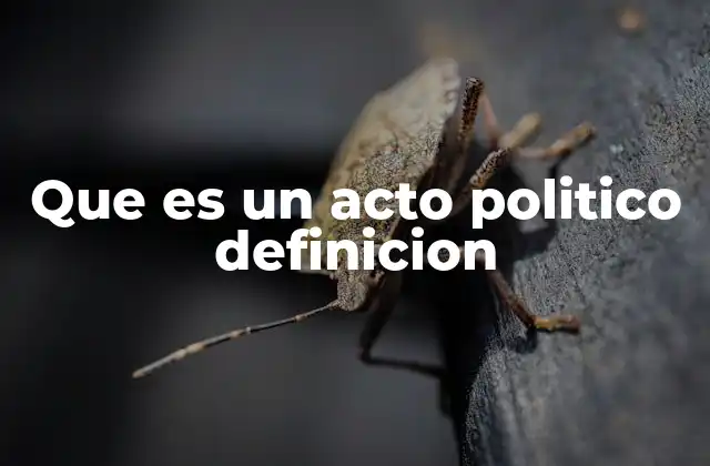 Que es un Acto Politico Definicion