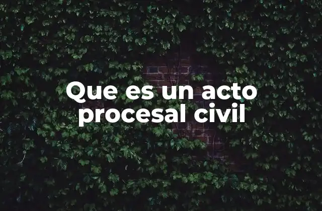 Que es un Acto Procesal Civil