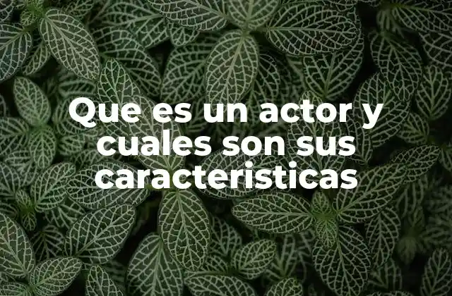 Que es un Actor y Cuales Son Sus Caracteristicas