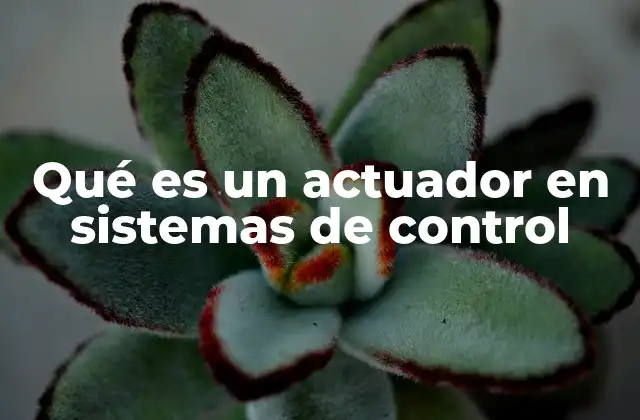 Qué es un Actuador en Sistemas de Control