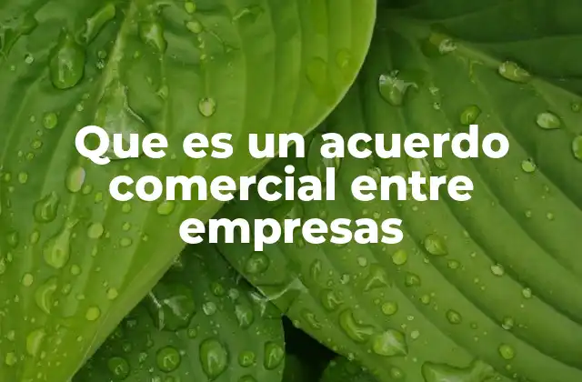 Que es un Acuerdo Comercial entre Empresas