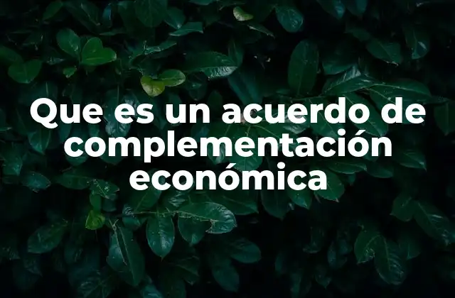 Cómo los acuerdos de complementación impulsan la integración regional