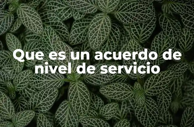 Que es un Acuerdo de Nivel de Servicio